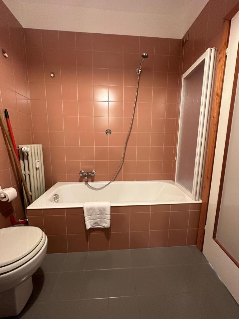 Alpine Dream Apartments Бормио Екстериор снимка